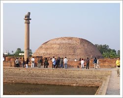ashoka-pillar