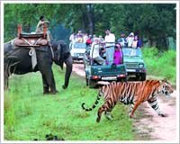 Jim Corbett National Park