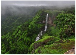 Maharashtra Particular Tour
