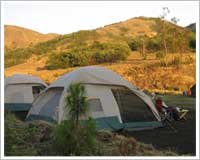 munnar-camping